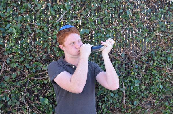 shofar pic