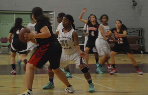 WIN: Senior Sharona Sedighim jabs past an Eagle to pass to her teammates at LA Adventist Academy Feb. 1.  The Lady Firehawks are seeded below the Eagles though theyve defeated the team twice.