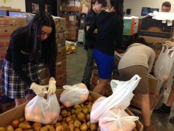 CHESED: Senior Sarah Soroudi packs pears at the L.A. Food Bank Feb. 24. Seniors have visited the Food Bank twice so far and will blog Poland-Israel trip for Holocaust survivors. (Tamar Willis)