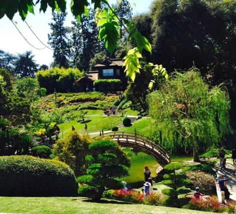 A day in the gardens is just a drive away
