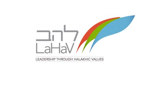 Screenshot of the LaHav logo