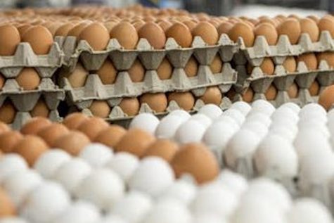  OLD: Most flu vaccines today are grown inside eggs, taking about six months. New egg-less method will take only two. 