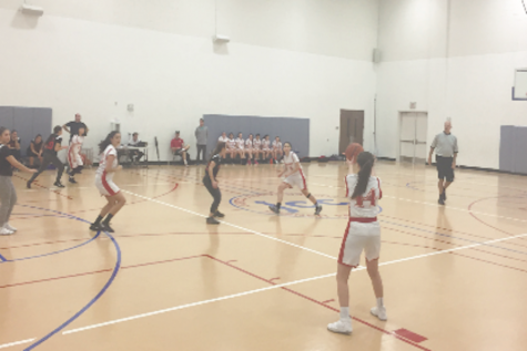 In a harder bracket and without their coach present, Firehawks finish fifth at Galbut