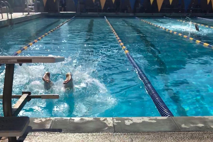 RACE: Firehawk feet breaking the water at UCLAs North Pool during last months tournament.