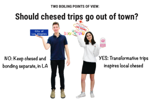 TWO BOILING POINTS OF VIEW: Should chesed trips go out of town?