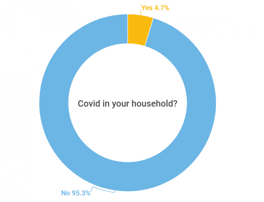 covid in your household