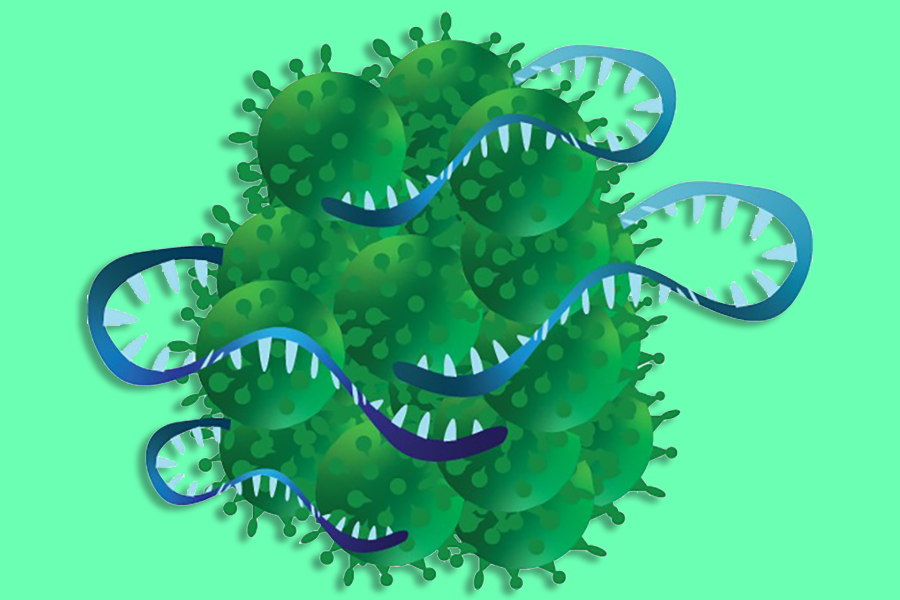 SPIKES: mRNA vaccines like Pfizers and Modernas cause cells to produce a spike protein, which stimulates the production of antibodies against it that will attack Covids spike proteins if the body encounters them.