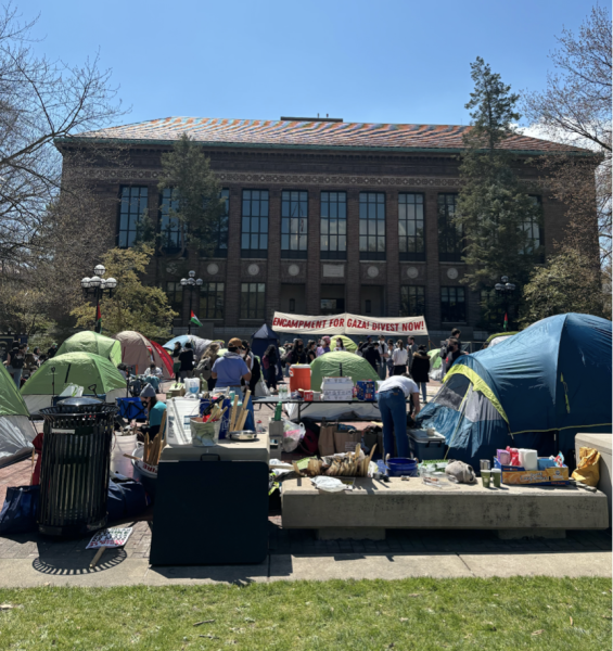 CAMP: Demonstrators at the University of Michigan protest to demand the school cut all ties with the State of Israel in light of its war with Hamas. (Vivienne Schlussel 23)
